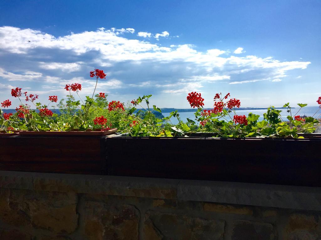 Istrian House Apartment Portoroz Bagian luar foto